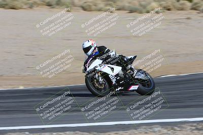 media/Feb-04-2024-SoCal Trackdays (Sun) [[91d6515b1d]]/4-Bowl Backside (11am)/